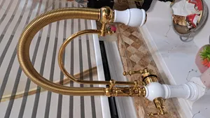 تجریه خرید شیر آشپزخانه آکوا ریس مدل گیلدا