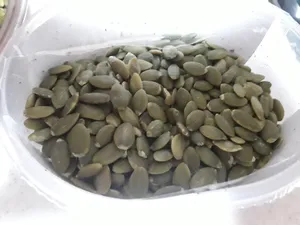 تجریه خرید مغز تخمه کدو اکبر راستگو- 300 گرم