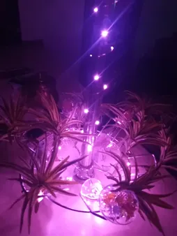 ریسه ال ای دی سحاب کد مفتولی به طول 5 متر