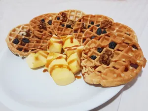 تجریه خرید وافل ساز سانیز مدل مینی سانی