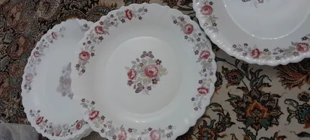 بشقاب غذاخوری پارس اپال مدل دنیز کد 230 بسته 6 عددی