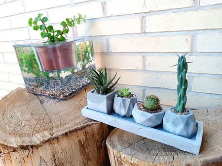 گلدان طرح آکواریوم کد ck106