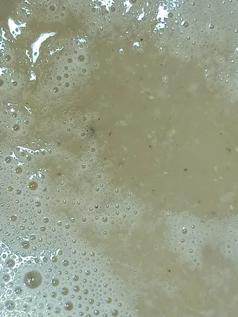 سویق مغزیجات ویتامینه سیدانو - 300 گرم