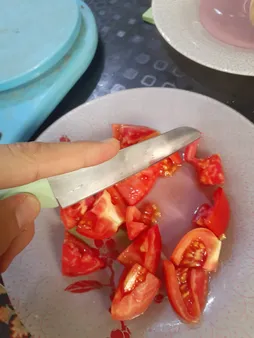 چاقو آشپزخانه مدل CH-08