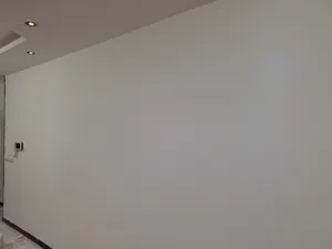 تجریه خرید رنگ نیم پلاستیک سفید پلیدور نیپون کد 630 وزن 10 کیلوگرم