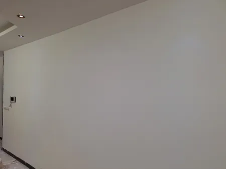 رنگ نیم پلاستیک سفید پلیدور نیپون کد 630 وزن 10 کیلوگرم