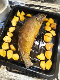 آون توستر نوبل کینگ مدل NF-1004