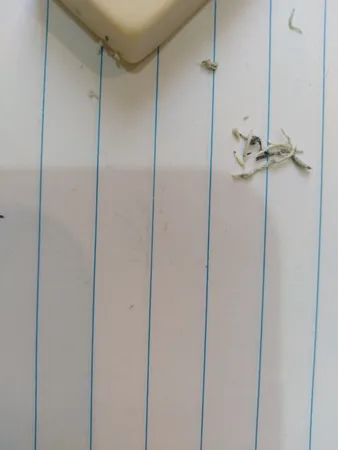 پاک کن فکتیس مدل 60RP بسته 5 عددی