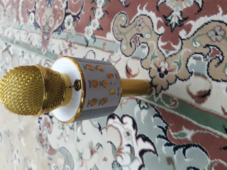 میکروفون اسپیکر مدل WS-858