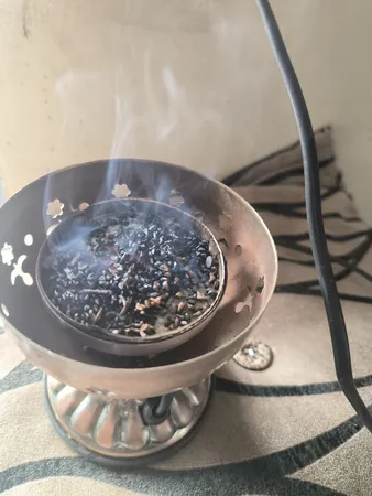 المنت اسپند دودکن مدل EL100