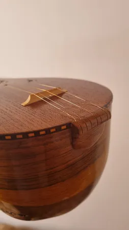 سه تار مفاخری مدل سوخته کاری کد2