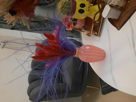 گل خشک مدل ریش بابا بسته 20 عددی