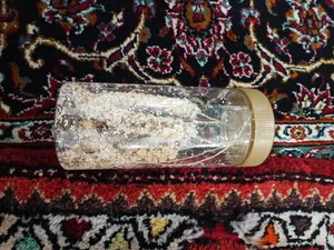 تجریه خرید غذای پرنده مدل ارزن خوشه ای کد 20104 بسته 5 عددی