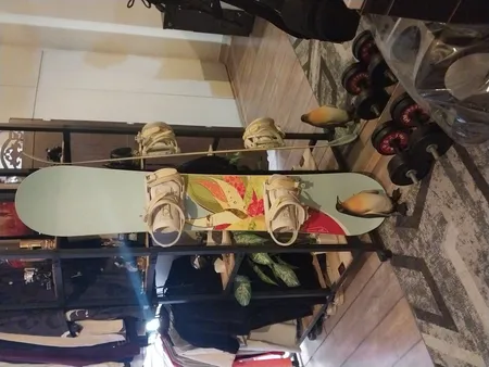 فیگور مدل پنگوئن