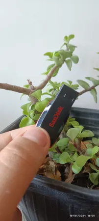 فلش مموری سن دیسک مدل Cruzer Blade CZ50 ظرفیت 32 گیگابایت با رابط USB 2.0