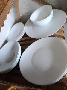 تجریه خرید سرویس غذاخوری 26 پارچه گلدن اوپال مدل پرومیتو