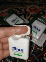 نخ دندان مینا مدل Mint بسته 2 عددی