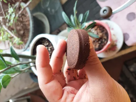 سبد قهوه مدل غیر تحت فشار سینگل سایز 51