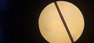 تجریه خرید میکروسکوپ مدیک مدل MH-1200L