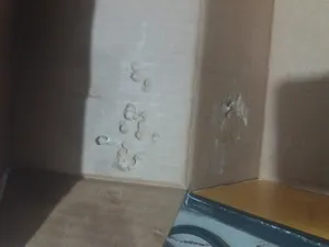 تجریه خرید مینی فرز دیوالت مدل DWE4010T