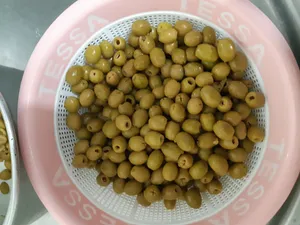 تجریه خرید زیتون شور بدون هسته ممتاز سمیران - 2600 گرم