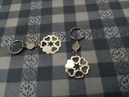 گوشواره نقره زنانه روژه مدل DSE025S