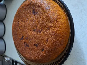 تجریه خرید پلوپز میگل مدل GRC860