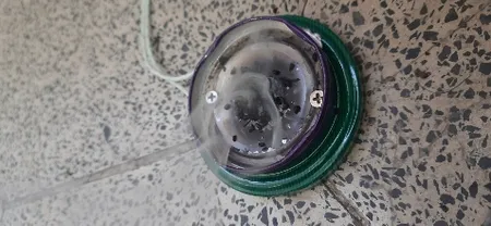 المنت اسپند دودکن کد 001