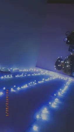 ریسه ال ای دی روژ کد  به طول 25 متر