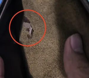 تجریه خرید کیف پول چرم دیاکو کد231