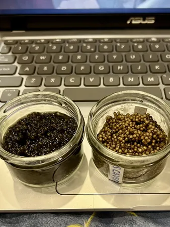 خاویار بلوگا میراث خاویار کاسپین ایرانیان - 50 گرم