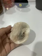 تجریه خرید پد پاک کننده آرایشی رایا کد 01 بسته 70 عددی