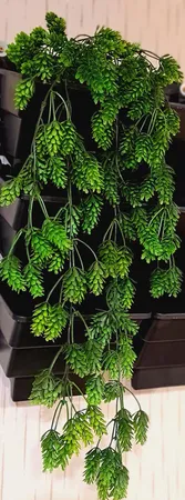 گلدان دیواری طرح دیوار سبز مدل Lotus بسته 6 عددی