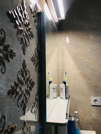 اینه دلفین کد 1050