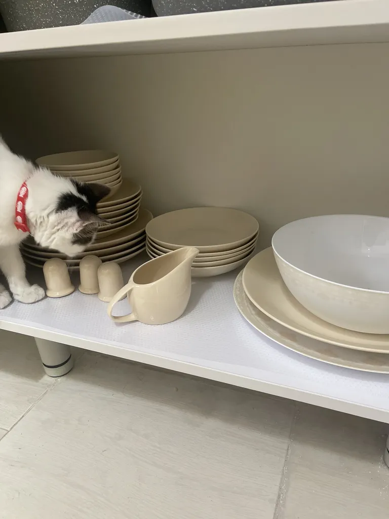 سرویس غذا خوری 30 پارچه رومز مدلorginal کد 50230