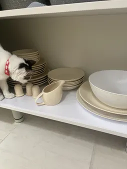 سرویس غذا خوری 30 پارچه رومز مدلorginal کد 50230