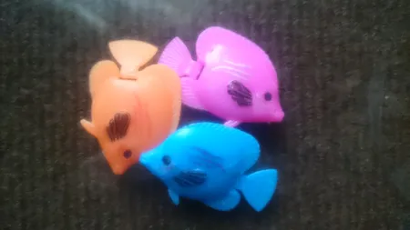 ماهی تزئینی آکواریوم مدل نگاه مجموعه ۴ عددی