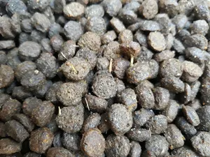 تجریه خرید غذای خشک گربه نوتری پت مدل Adult MODIFIED FORMULA وزن 2 کیلوگرم