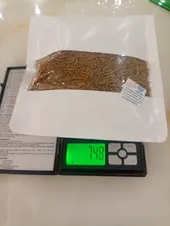 تجریه خرید غذای خشک پرندگان مدل میلورم کد 01 وزن 100 گرم