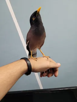 دستبند کد ۱۲۰