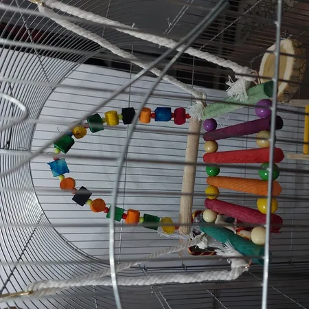 اسباب بازی پرندگان مدل 3068