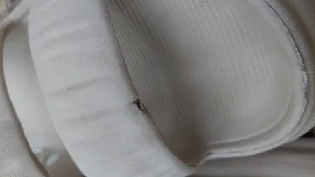 دمپایی زنانه مدل دوبنده میترا کد 1484-CR