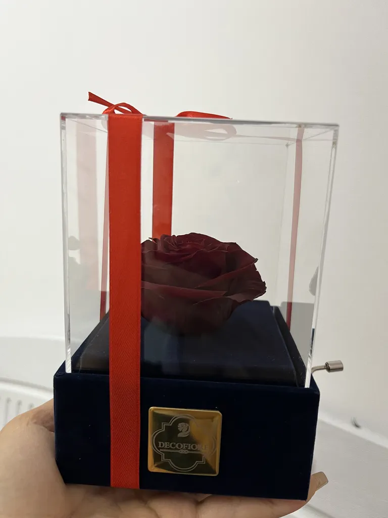 جعبه موزیکال گل ماندگار دکوفیوره مدل رز جاودان ملودی های عاشقانه