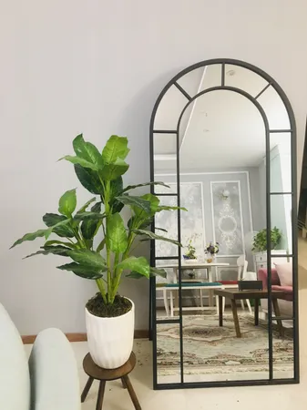 آینه مدل قدی فلزی طرح تاج پایه دار F-180