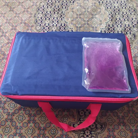 یخدان سفری مدل 20L گنجایش 20 لیتر