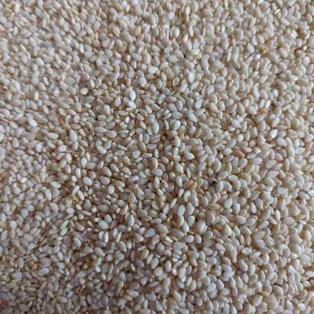 کنجد برشته گلستان - 300 گرم