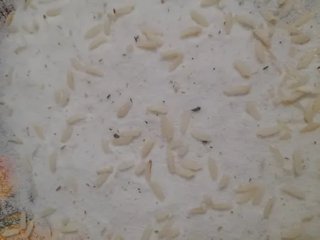 برنج هاشمی فوق اعلا مهمان نواز - 10 کیلوگرم