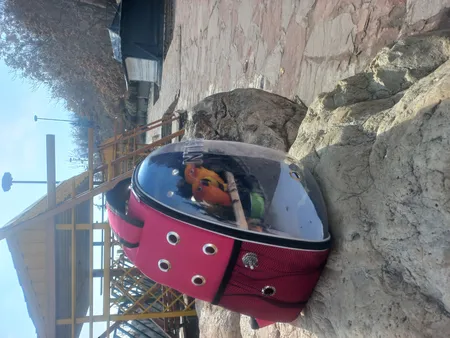 کوله پشتی حمل پرندگان مدل Z001