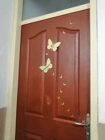 آینه دکوماتوس مدل نشانگر سرویس بهداشتی کد N120 بسته 2 عددی