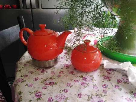 قوری مقصود کد 231